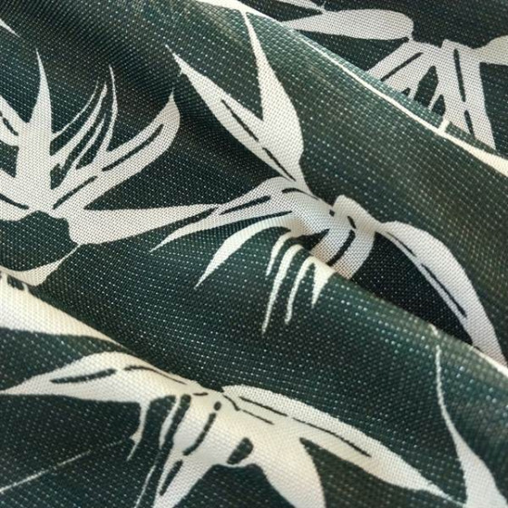 Bamboo