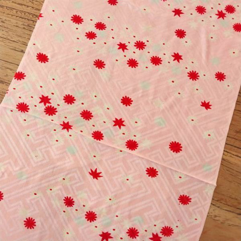 Pink Daisy