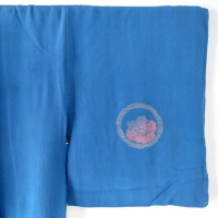 Blue Aoi