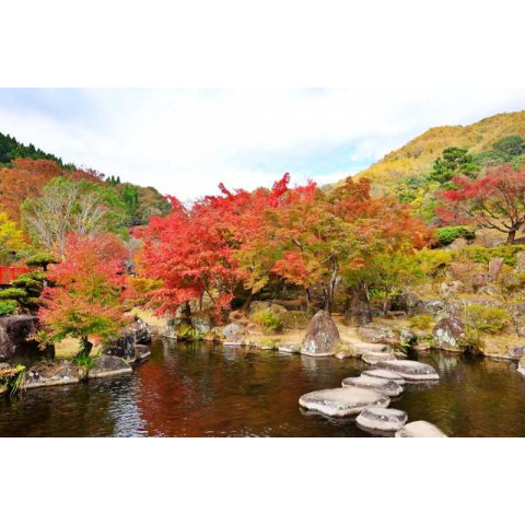 Japanese autumn beauty Aki Kouyou