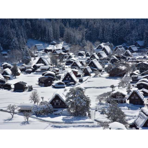 Experience the Charm of Gassho-Zukuri, A Journey to Shirakawa-go Experience the Charm of Gassho-Zukuri, A Journey to Shirakawa-go