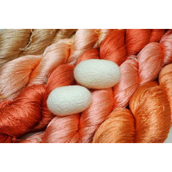 Origins and production of Japanese silk