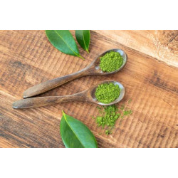 Matcha the traditional Japanese green tea