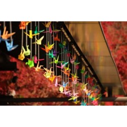 The Magic of Origami. From Tradition to Modern Art