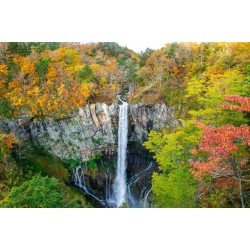 Experience Japan’s Unique Autumn in Nikko: A Special Journey for Southern Hemisphere Visitors